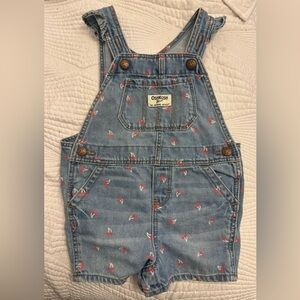 Oshkosh B’Gosh 18 Mos Cherry Overalls